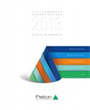 Integrated Annual Report  2013 